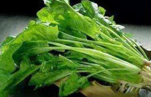 С�ܲ�ӧ�Ĺ�Ч��Ӫ��