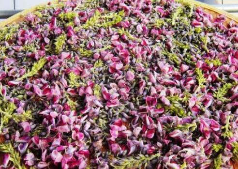 女人喝葛花茶的好处