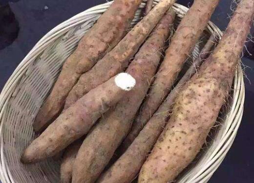 ë����ɽҩ������ ��ë���ĺô�