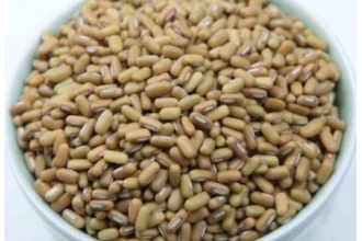 �����̶�������