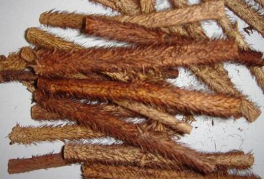 ��ë���Ƥ�Ĺ�Ч������