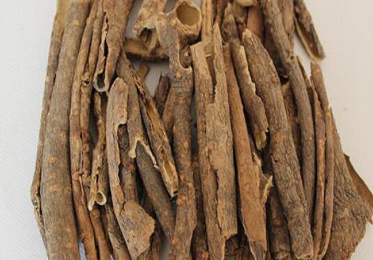 ������뱱��ӵ�����
