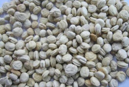 �˲�����ˮ�ȵĹ�Ч