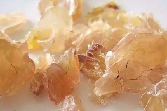 ѩ����Щ�˲��ܳ� ѩ��ĸ����úͽ���