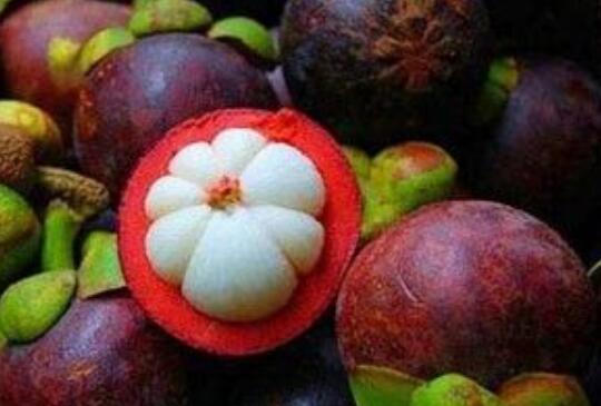 �����ȷ��ɽ�� ɽ��̫Ӳ����ô��