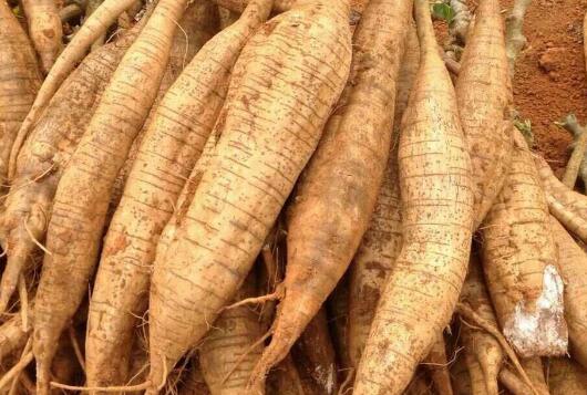 �����Ϳ���������