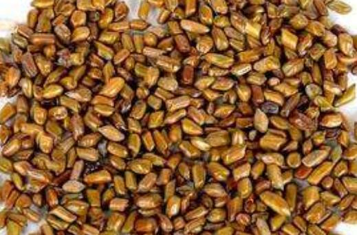 �����ӵ�Σ������Щ