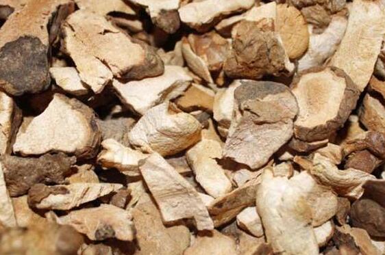 �����������ߵ�����