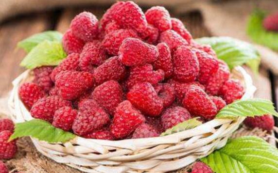 ��ݮ�͸����ӵ�����