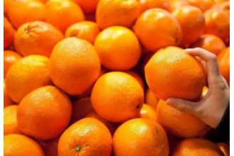 橘子和桔子的区别