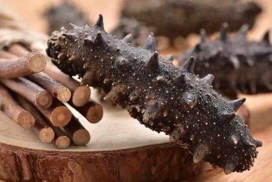 �������ɺ������ �ݷ��õĺ�����ô����