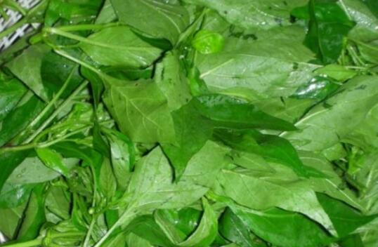 ����Ҷ�Ĺ�Ч�����ü�����