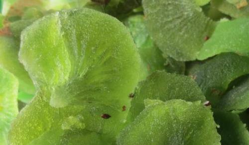 ⨺��Ҹ���ô�� �����������⨺��Ҹ�