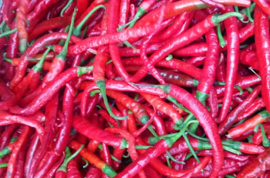 �ӵ�ͷ�Ͷ�����������