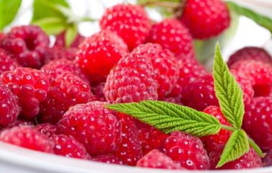 ����ݮ��Ů�˵ĺô�