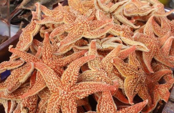 ���ǵĹ�Ч������ ���ǵ�ʳ�÷���