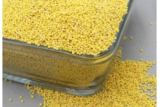 黍子米的功效与作用及食用方法